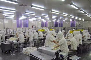 食品廠空氣環(huán)境無(wú)菌凈化方案及消毒滅菌技術(shù)應(yīng)用開(kāi)發(fā)指南