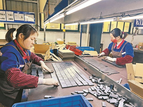 以高質量技術服務為引擎，驅動企業創新與開發能力躍升