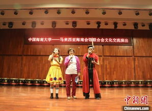 馬來西亞海南會館聯(lián)合會文藝團來瓊開展數(shù)字文化創(chuàng)意軟件交流