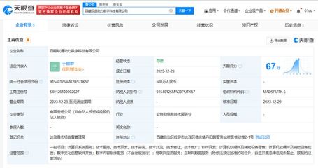 軟通動(dòng)力在西藏成立數(shù)字科技公司，布局?jǐn)?shù)字創(chuàng)意軟件新賽道